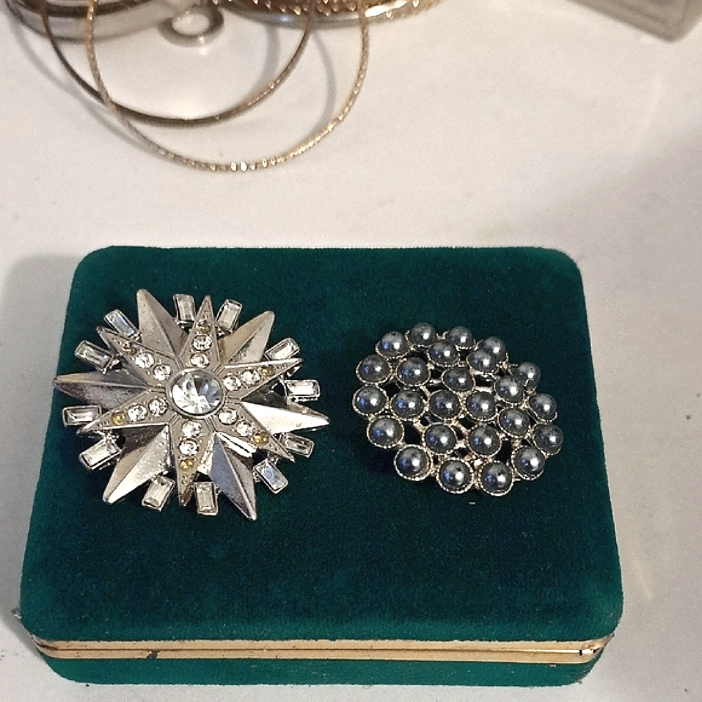 Elegant Silver Brooch Set